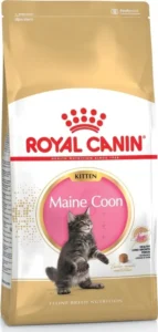 Royal Canin Maine Coon Kitten Ξηρά Τροφή χωρίς Γλουτένη για Ανήλικες Γάτες με Πουλερικά / Ρύζι 2kg