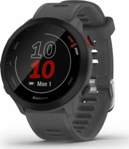 Smartwatch Garmin Forerunner 55 grey