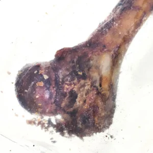 Petmex Dog Chew Λιχουδιά Σκύλου Μικρόσωμων Φυλών χωρίς Γλουτένη με Χοιρινό 200gr