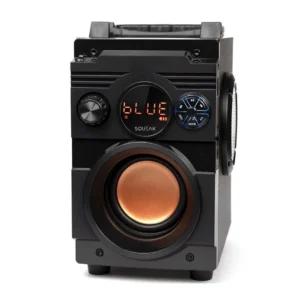 Squeak SQ1001 Ηχείο Bluetooth 20W με Ραδιόφωνο Μαύρο
