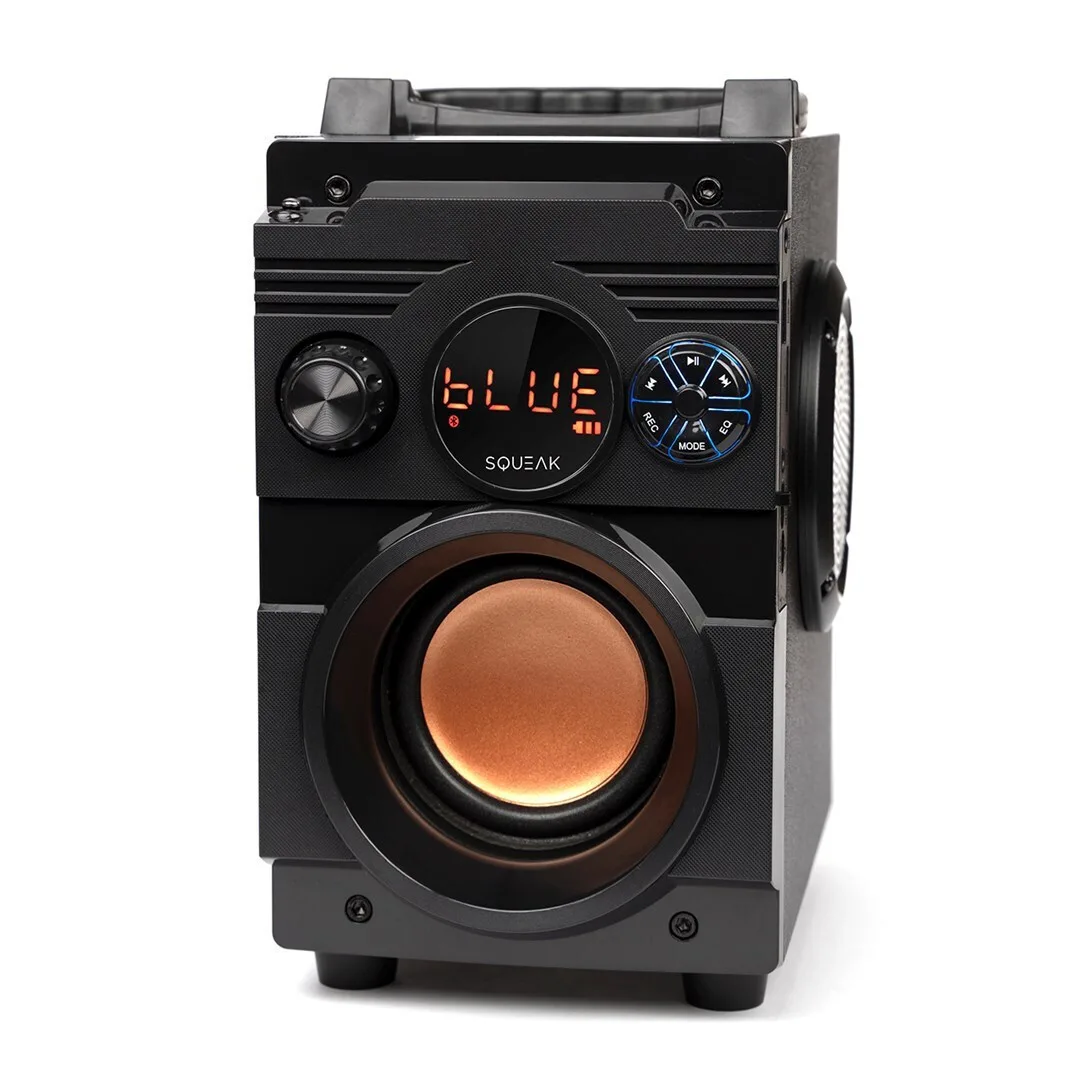Squeak SQ1001 Ηχείο Bluetooth 20W με Ραδιόφωνο Μαύρο