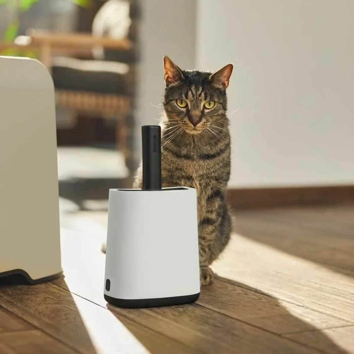 Rotho My Pet Λευκό Φτυαράκι Τουαλέτας Γάτας 1τμχ 7943471