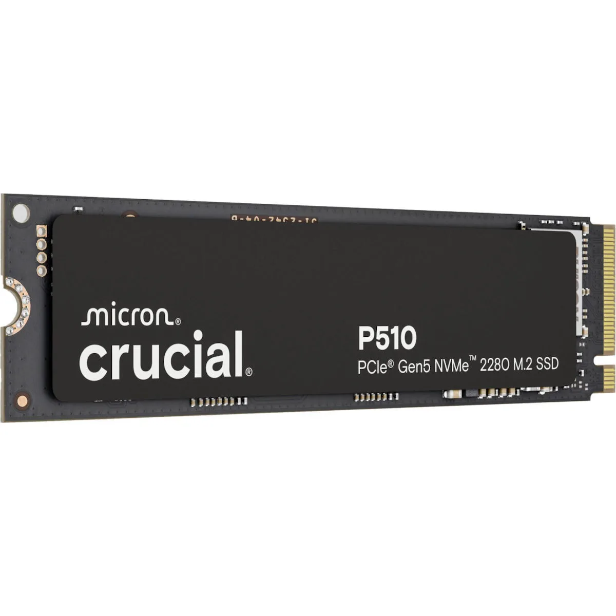 *P510 1TB M.2 NVMe Gen5  2280 11000/9500 MB/s
