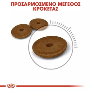 Royal Canin Digestive Care Ξηρά Τροφή χωρίς Γλουτένη για Ενήλικες Στειρωμένες Γάτες με Ευαίσθητο Γαστρεντερικό με Ψάρια
