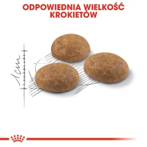 Royal Canin Active Life Outdoor Ξηρά Τροφή για Ενήλικες Γάτες με Πουλερικά 4kg